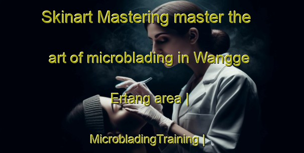 Skinart Mastering master the art of microblading in Wangge Ertang area | MicrobladingTraining | MicrobladingClasses | SkinartTraining-China